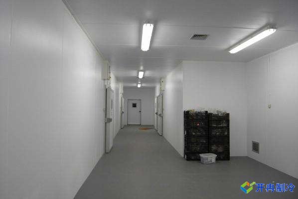 5000吨肉制品冷冻库造价预算，上海建冷库哪家好