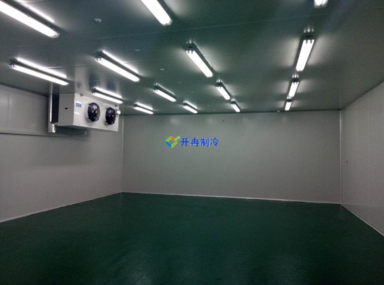 100m3血液冷库温度一般多少度，医疗冷库报价  冷库内景图片 